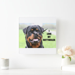 Ich Liebe meine Rottweiler Quadratische Wanduhr
