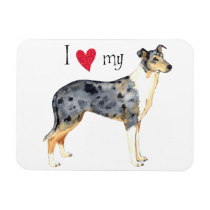 Ich Liebe meine Smooth Collie Magnet