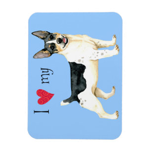 Ich Liebe meine Teddy Roosevelt Terrier Magnet
