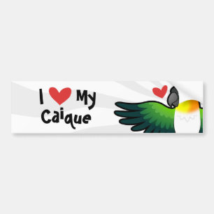 Ich liebe meinen Caique / Unzertrennlichen / Pionu Autoaufkleber