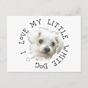 Ich liebe meinen kleinen weißen Hund - Malteser Postkarte