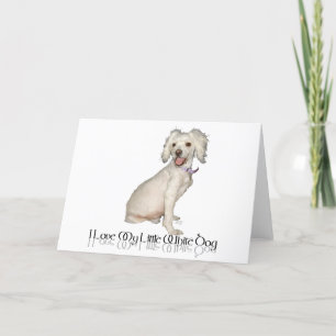 Ich liebe meinen kleinen weißen Hund - Poodle / Bi Karte