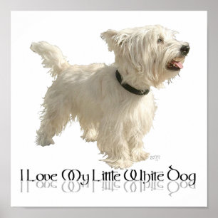 Ich liebe meinen kleinen weißen Hund - Westie Poster