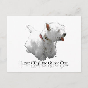 Ich liebe meinen kleinen weißen Hund - Westie Postkarte