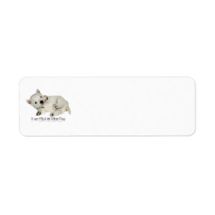 Ich liebe meinen kleinen weißen Hund - Westie Welp