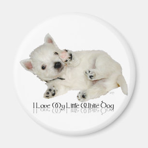 Ich liebe meinen kleinen weißen Hund - Westie Welp Magnet