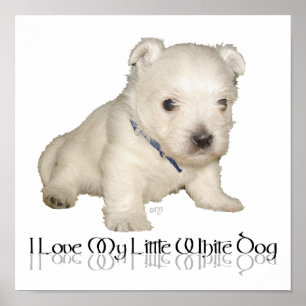 Ich liebe meinen kleinen weißen Hund - Westie-Welp Poster