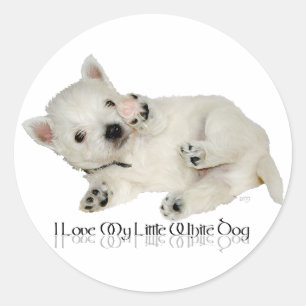 Ich liebe meinen kleinen weißen Hund - Westie Welp Runder Aufkleber