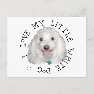 Ich liebe meinen kleinen weißen (Rettungs-)Hund Postkarte