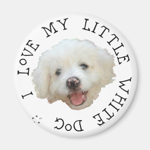 Ich liebe meinen kleinen weißen Rettungshund Magnet