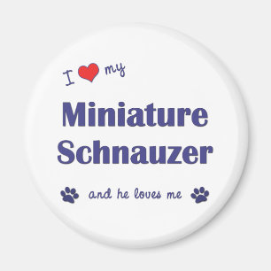Ich Liebe meinen Miniaturschnauzer (Männerhund) Magnet