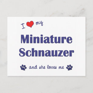 Ich Liebe meinen Miniaturschnauzer (Weibenhund) Postkarte
