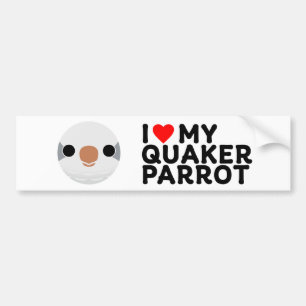 ICH LIEBE MEINEN QUAKER-PAPAGEI – grau Autoaufkleber