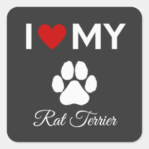 Ich Liebe meinen Ratten-Terrier-Hund-Sondertext Quadratischer Aufkleber
