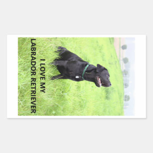 Ich liebe meinen schwarzen Labrador Retriever Rechteckiger Aufkleber