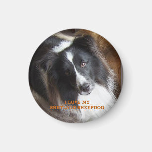Ich liebe meinen Shetland Sheepdog Magnet