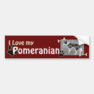 Ich Liebe meinen Spitz Autoaufkleber