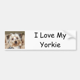 Ich liebe meinen Yorkie Autoaufkleber