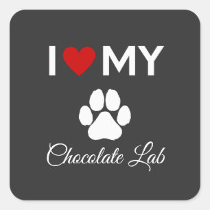 Ich Liebe meines Schokolade-Labrador-Hundes Quadratischer Aufkleber
