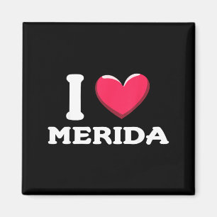 Ich liebe Merida Mexiko _1 Magnet