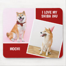 Ich Liebe My Shiba in zwei Fotos