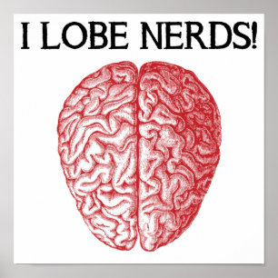 Ich liebe Nerds Liebe Funny Poster Sign
