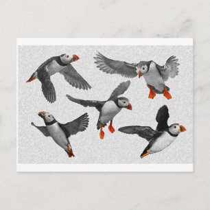 Ich Liebe Puffins! Postkarte