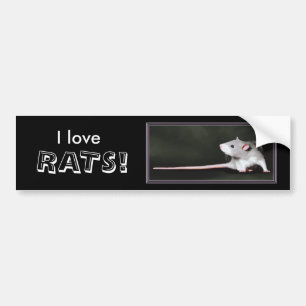Ich liebe RATTEN! - Ratten-Aufkleber Autoaufkleber