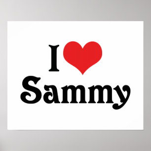Ich liebe Sammy Poster