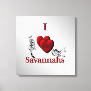 Ich liebe Savannah-Katze Silber Leinwanddruck