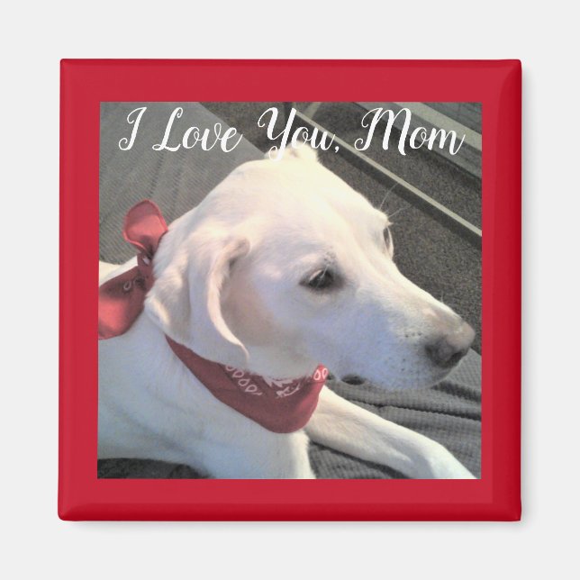 Ich Liebe Sie Hund Mama weiß Labrador Retriever Mi Magnet (Vorne)