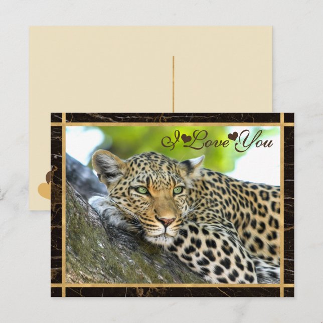 Ich Liebe Sie Leopard Fotografie Postkarte (Vorne/Hinten)