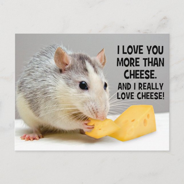Ich Liebe Sie mehr als Käse Ratte Ratte Postkarte (Vorderseite)