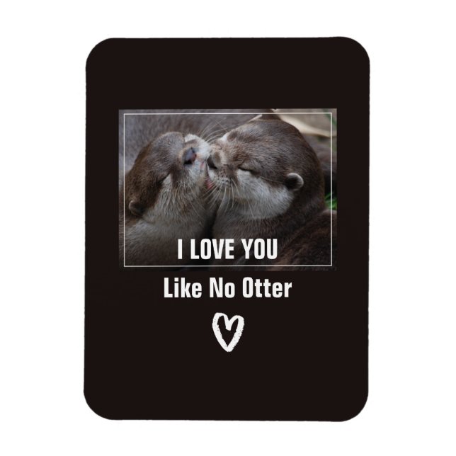 Ich Liebe, Sie mögen kein anderes Niedliches Foto Magnet (Vertikal)