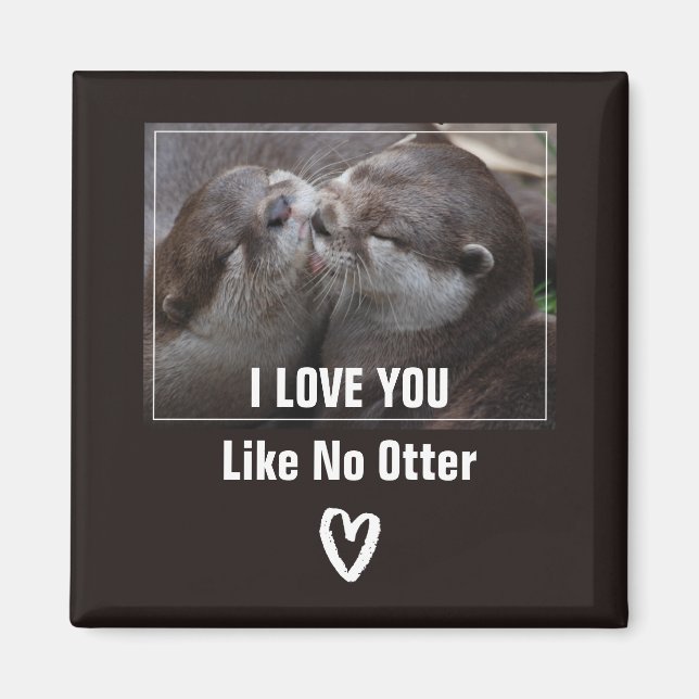 Ich Liebe, Sie mögen kein anderes Niedliches Foto Magnet (Vorne)