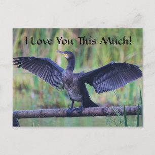 Ich Liebe Sie so sehr - kormorant Postkarte