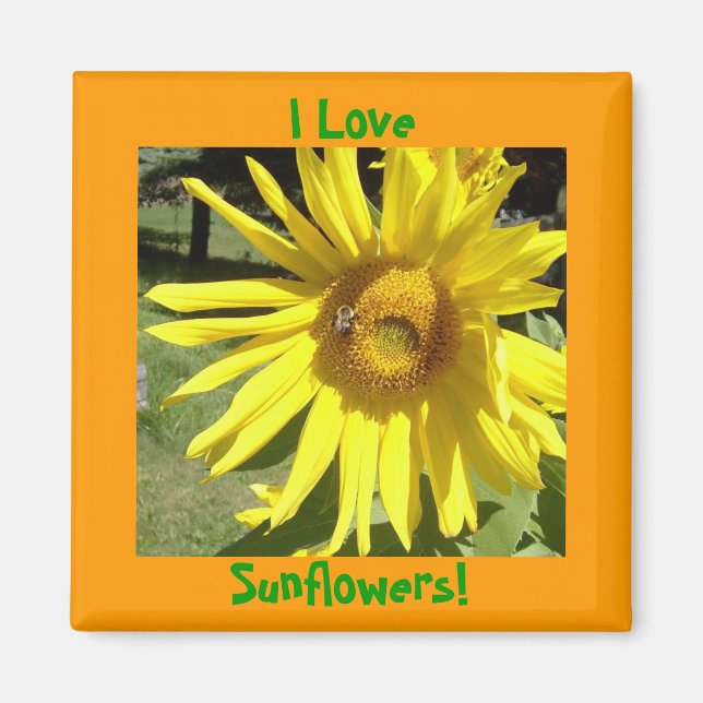 Ich Liebe, Sonnenblumen! Magnet (Vorne)