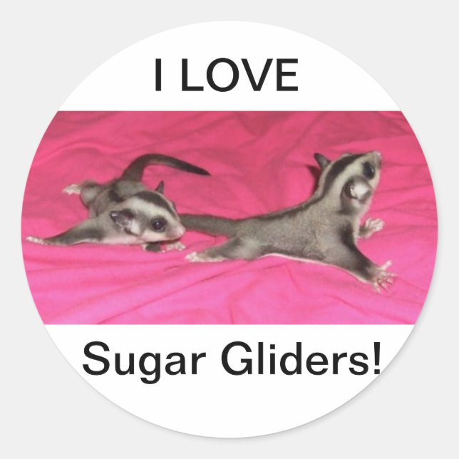 Ich LIEBE Sugar Gleiter! AUFKLEBER (Vorderseite)