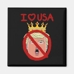 Ich liebe USA Anti Trump 2024 Magnet