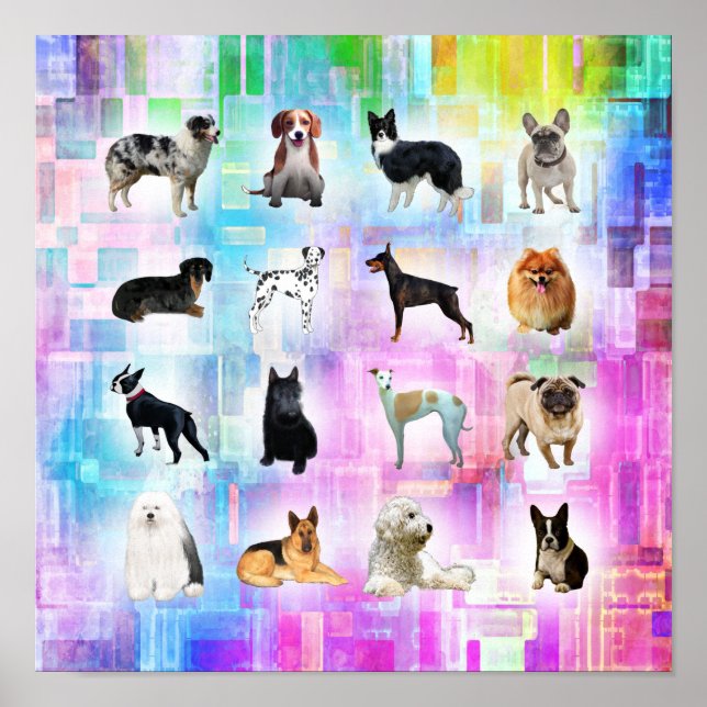 Ich Liebe viele Hunde Poster (Vorne)