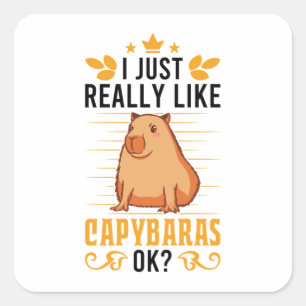 Ich mag Capybaras Ok Capybara Quadratischer Aufkleber