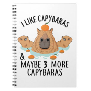 Ich mag Capybaras und vielleicht 3 Leute Funny Bab Notizblock