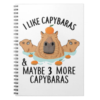 Ich mag Capybaras und vielleicht 3 Leute Funny Bab Notizblock