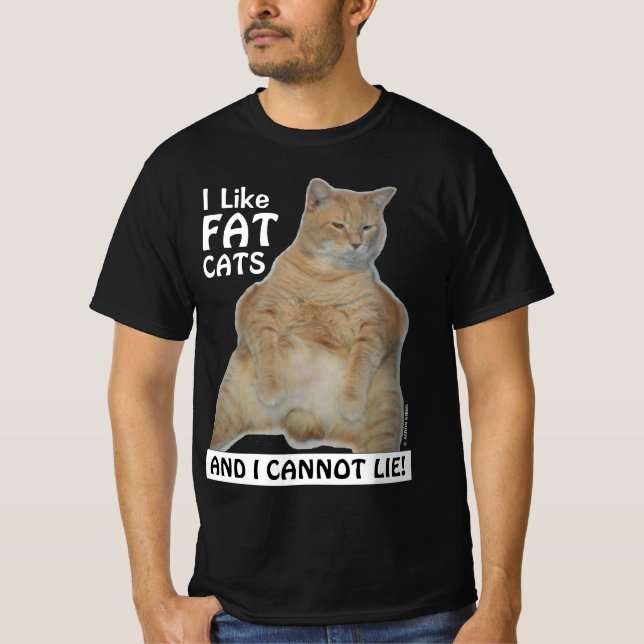 Ich mag Fett-Katzen und ich kann nicht lehren! T-S T-Shirt (Vorderseite)