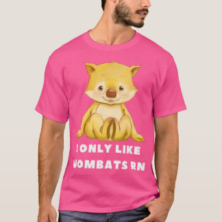 Ich mag gerade nur Frauenmorde T-Shirt