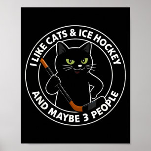 Ich mag Katzen Eishockey und vielleicht 3 Leute 1 Poster