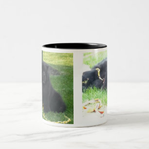 Ich mag mein Chow-Chowe u. Kaffee-Schwarzes Zweifarbige Tasse