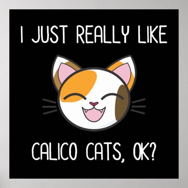 Ich mag nur Calico Cats Ok? Niedlich Calico Cat Poster (Vorne)