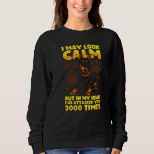 Ich mag ruhig aussehen, aber in meinem Kopf Doberm Sweatshirt