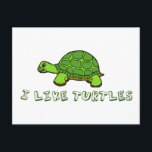 Ich mag Schildkröten grün Niedlich Postkarte<br><div class="desc">Niedliche grüne Tiere,  was ist nicht mit Liebe? Ich mag Schildkröten,  die in grünem Text unter einer albernen,  zeichnend Cartoon-Schildkröte geschrieben sind. Wenn Sie eine Tierschildkröte haben,  werden Sie das Liebe!</div>